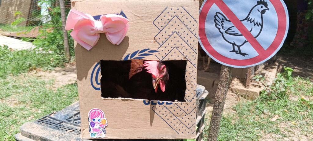 No compres gallinas