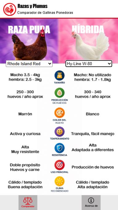 Gallinas ponedoras vs otras gallinas
